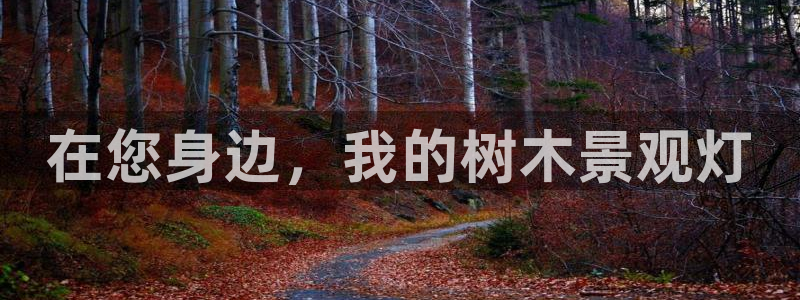 卧龙娱乐总管是谁呀:在您身边,我的树木景观灯