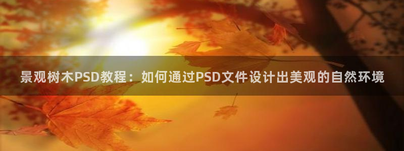 卧龙凤雏娱乐运城:景观树木PSD教程:如何通过PSD文件设计出美观的自然环境